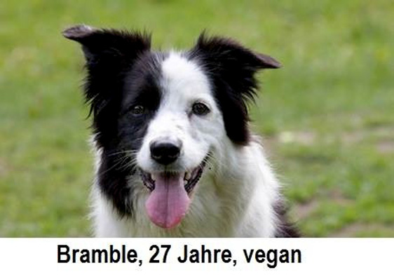 Die widerlichen Propaganda-Methoden gegen vegane Fütterung