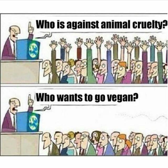 Wer ist gegen Tierquälerei? – Wer möchte vegan werden?