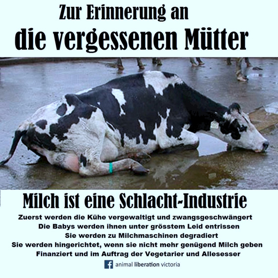 Die Wahrheit über Milch