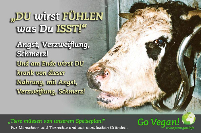 „Du wirst FÜHLEN was DU isst!“