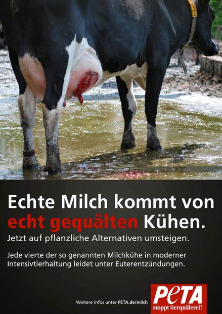 Am 1. Juni war Welt-Tierquäler-Tag, Welt-Gift-Tag bzw. Welt-Manipulations-Tag auch euphemistisch Welt-Milch-Tag genannt!