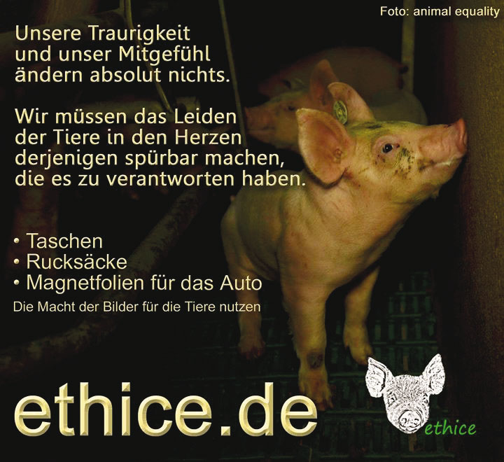 ethice e.V. und die Idee dahinter…