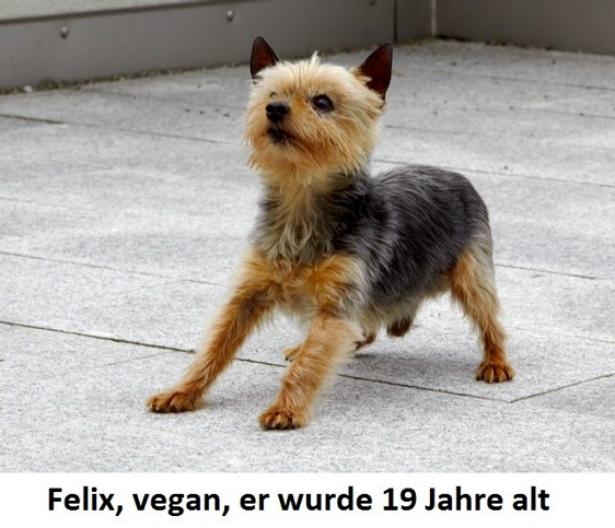 Felix, vegan, er wurde 19 Jahre alt