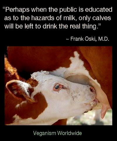 „Wenn die Öffentlichkeit erst einmal über die der Milch innewohnenden Risiken informiert ist, werden vielleicht endlich nur noch die Kälber die ihnen zustehende Nahrung trinken. Denn nur Kälber sollten Kuhmilch trinken.“
