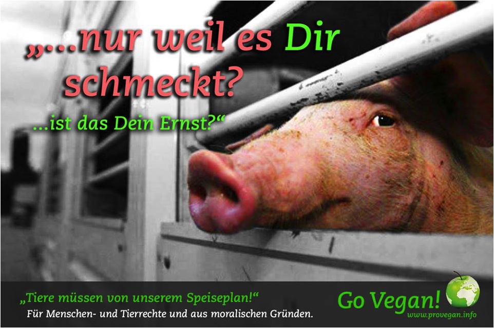 „…nur weil es DIR schmeckt? …….IST DAS DEIN ERNST?“