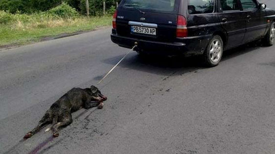 Neuigkeiten vom Hundequäler Raycho D. Ivanov, der seinen Hund hinter dem Auto herschleifte