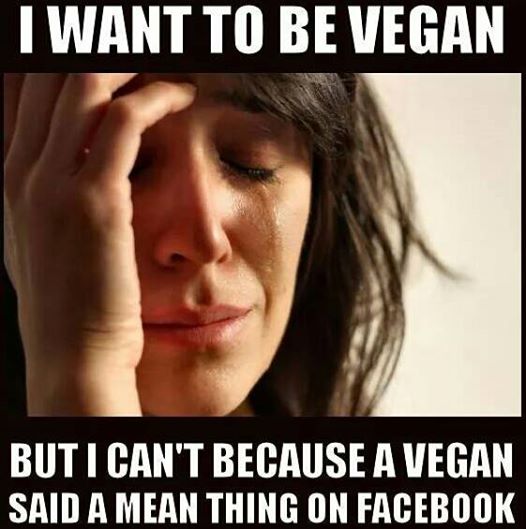 „Ich möchte gerne vegan leben – aber ich kann nicht, weil ein Veganer auf Facebook eine gemeine Aussage postete“