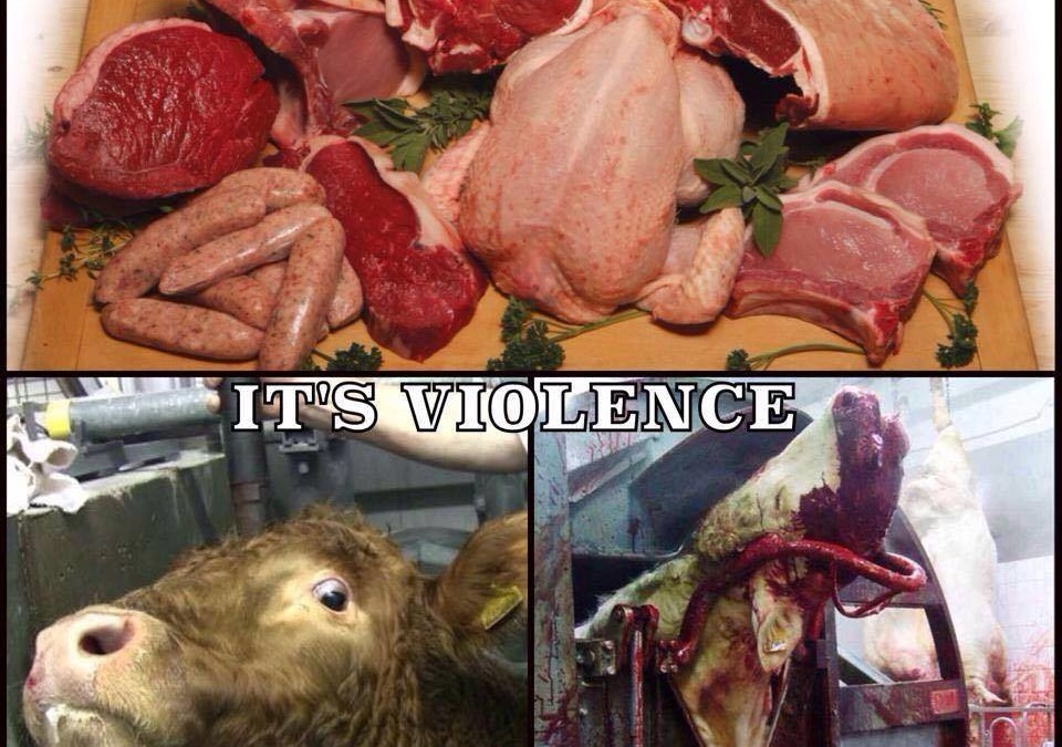 Das ist keine Nahrung, das ist pure Gewalt!