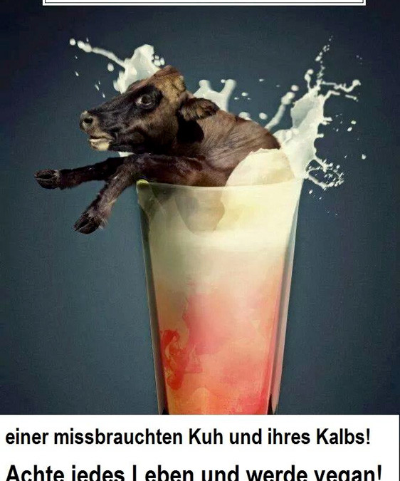 Die Wahrheit über Milch