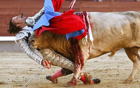 Gute Nachricht: Pariser Gericht entscheidet, dass Stier„kampf“ (Stierquälerei) kein nationales Kulturerbe ist