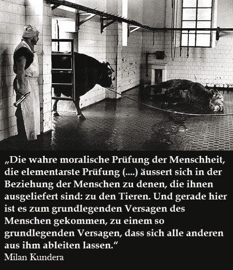 Und wie lautet Deine Entscheidung bei dieser „elementarsten Prüfung“? Wie lautet Deine Entscheidung bei Fleisch, Milchprodukten, Eiern und Fisch?