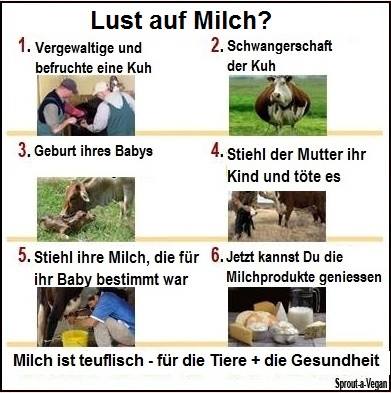 Lust auf Milch und Käse?