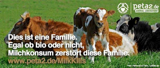 Milchkonsum zerstört Familien