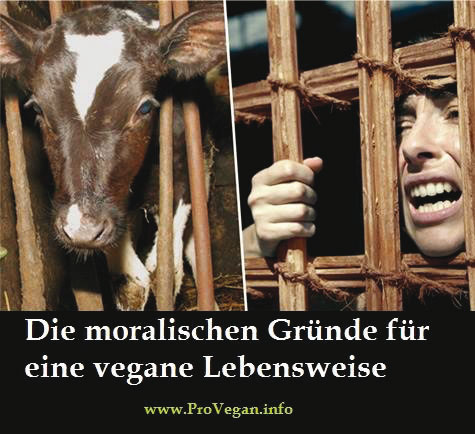 Die moralischen Gründe für eine vegane Lebensweise