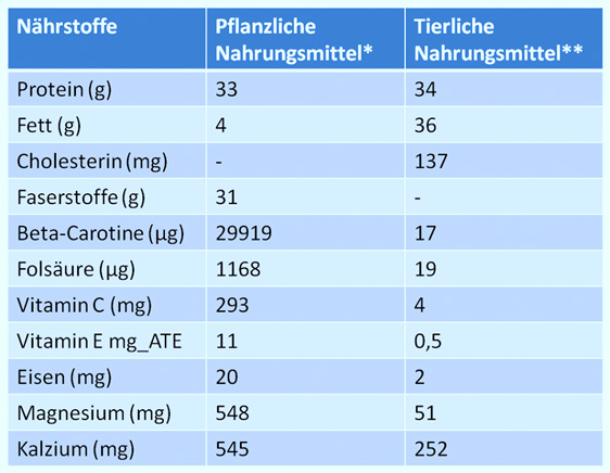 Mangelt es der veganen Ernährung an wichtigen Nährstoffen? – Braucht man besondere Kenntnisse, um sich gesund vegan zu ernähren?