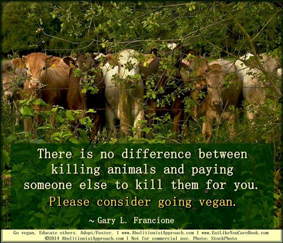 „Es besteht kein Unterschied darin, ob man Tiere selbst ermordet oder jemanden dafür bezahlt. Werden Sie deshalb vegan.“