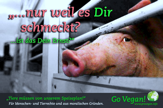 „Ist Veganismus eine Angelegenheit der eigenen freien Wahlmöglichkeit? Das hängt davon ab, ob Sie denken, dass wir das moralische Recht einer Wahl haben, die Schutzlosen für frivole Zwecke wie einem Gaumenkitzel auszubeuten.“