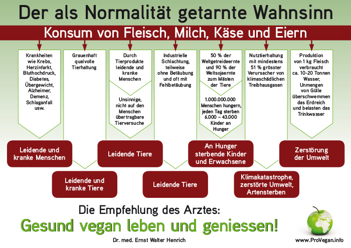 Der Wahnsinn, der von der Tierindustrie als Normalität verkauft wird