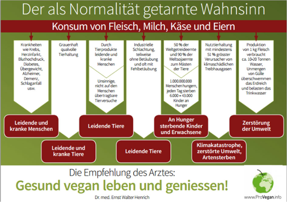 Der Irrsinn des Bösen als Normalität