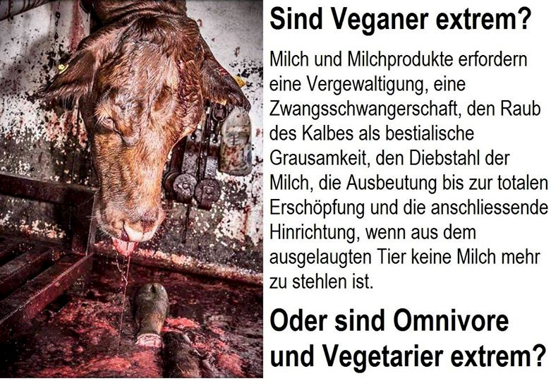 Sind Veganer extrem?