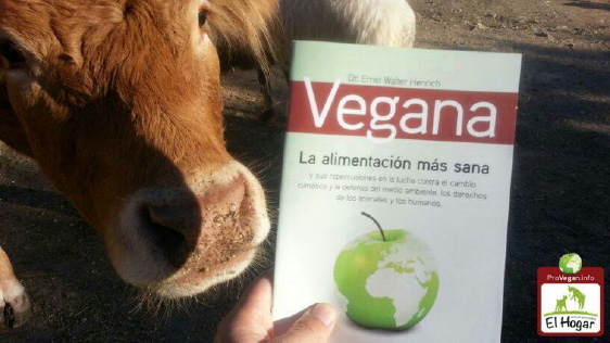 Spanien wird vegan: Die Vegan-Broschüre jetzt auch in spanischer Sprache