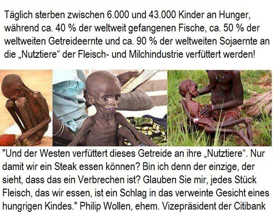 Hunger in der Welt