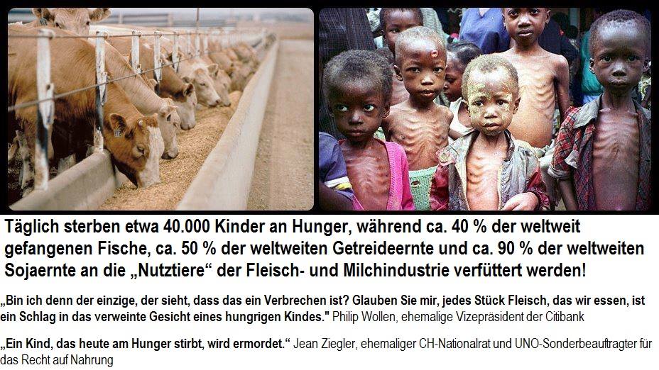 „Man muss immer Partei ergreifen. Neutralität hilft dem Unterdrücker, niemals dem Opfer. Stillschweigen bestärkt den Peiniger, niemals den Gepeinigten.“ – Elie Wiesel