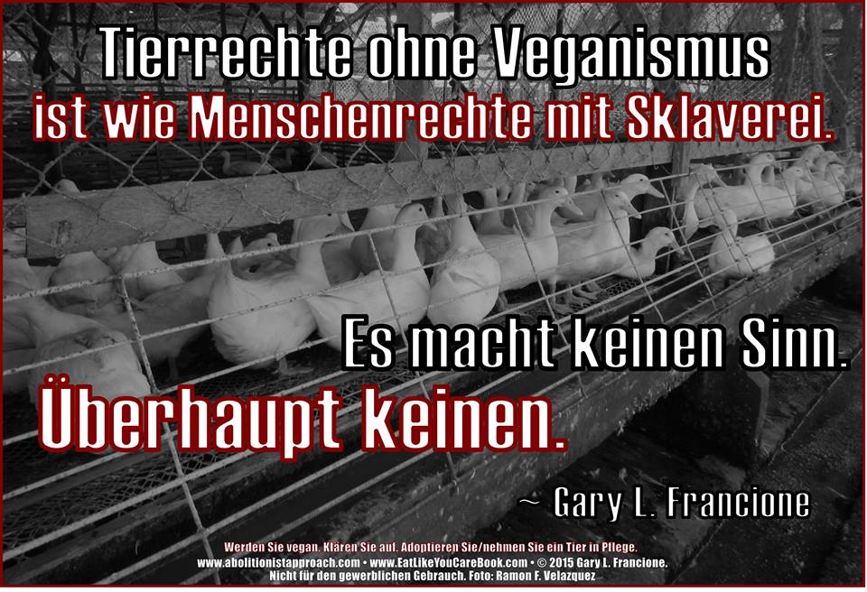 Da hat Prof. Dr. Gary F. Francione recht: „Tierrechte ohne Veganismus ist wie Menschenrechte mit Sklaverei. Es macht keinen Sinn. Überhaupt keinen.“