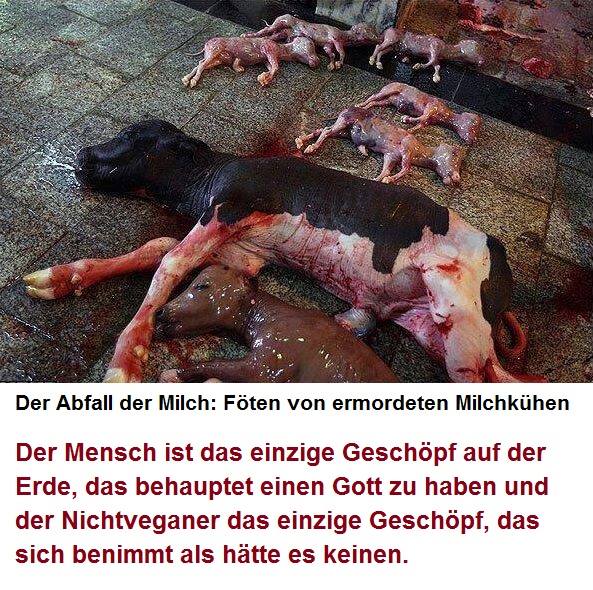 Der Tod und die Qualen der Babys und ihrer Mütter wegen Milch