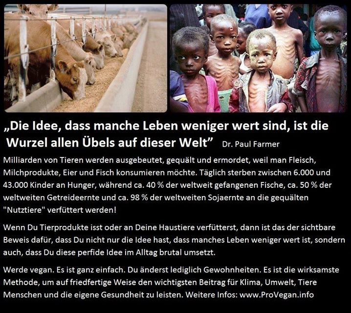 Die unbequeme Wahrheit und die persönlichen Konsequenzen