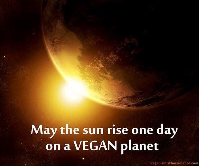 Möge die Sonne eines Tages aufgehen und auf einen veganen Planeten scheinen!