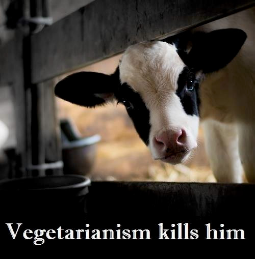 Vegetarismus tötet dieses Tierkind