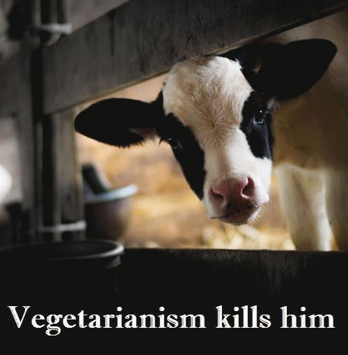 Nichts könnte wahrer als diese Aussage sein: Vegetarismus tötet dieses Tierkind