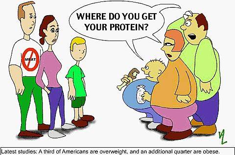 Häufige Frage an Veganer: Wo bekommst Du denn Dein Protein her?