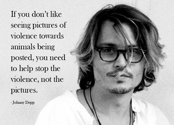 „Wenn Du nicht magst, dass Bilder gepostet werden, auf denen Gewalt gegen Tiere zu sehen ist, dann solltest Du die Gewalt gegen Tiere bekämpfen, aber nicht die Bilder.“ – Johnny Depp