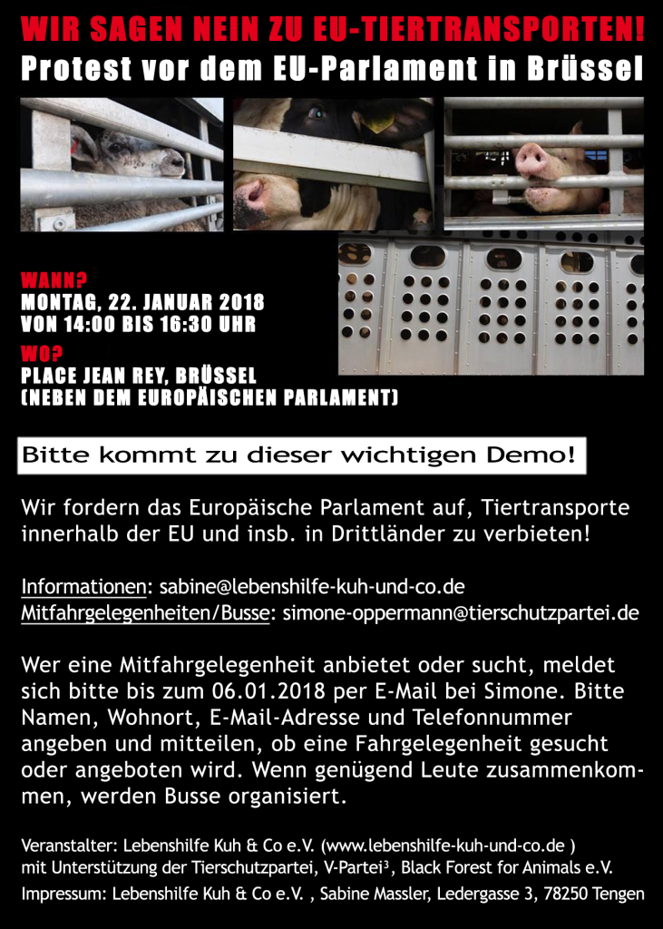 EU-Tiertransporte-Demo-Flyer