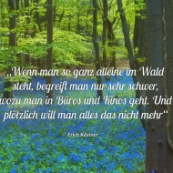Domenica Küch